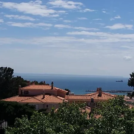 Terrace *