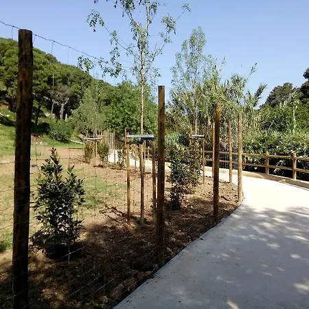 Terrace Апартаменты